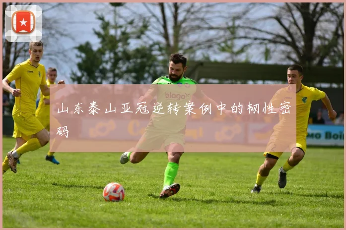 山东泰山亚冠逆转案例中的韧性密码