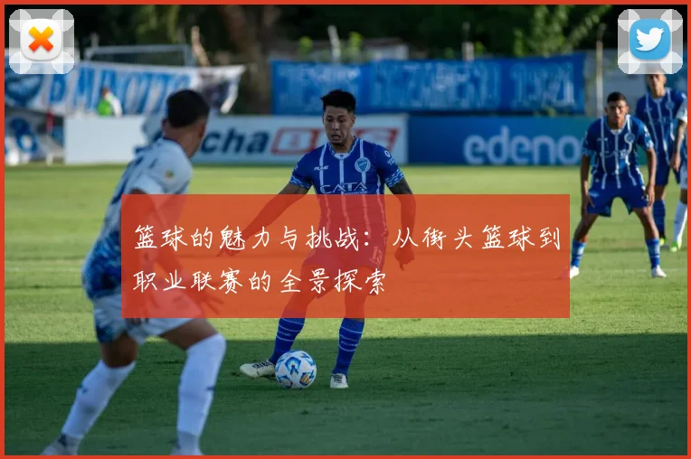 篮球的魅力与挑战：从街头篮球到职业联赛的全景探索