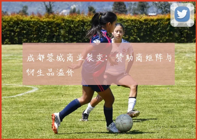成都蓉城商业裂变：赞助商矩阵与衍生品溢价