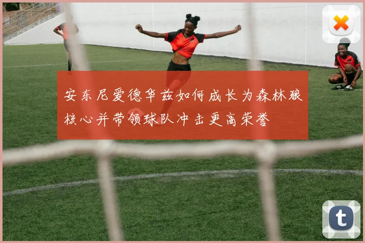 安东尼爱德华兹如何成长为森林狼核心并带领球队冲击更高荣誉