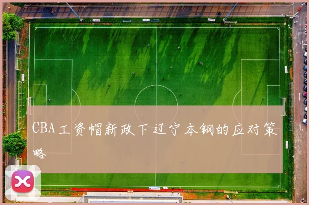 CBA工资帽新政下辽宁本钢的应对策略