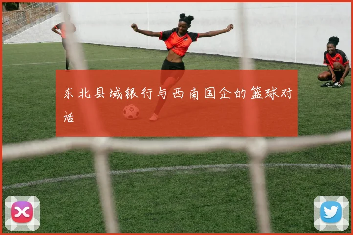 东北县域银行与西南国企的篮球对话