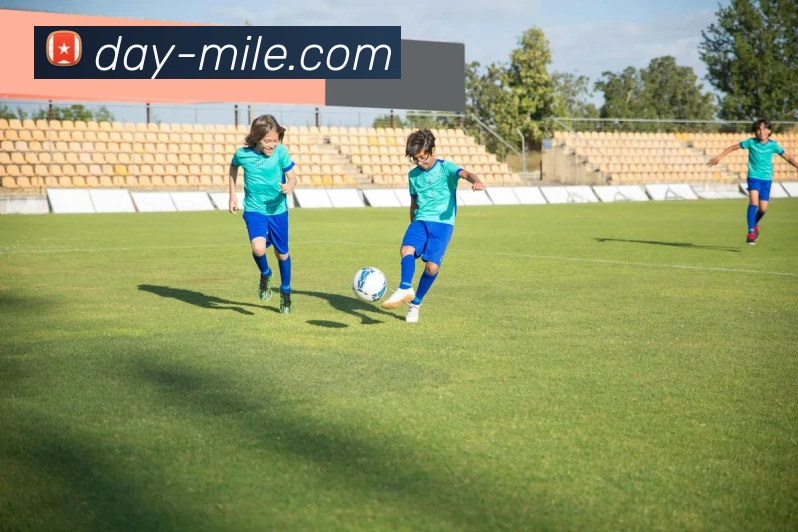 米乐M13平台生态图